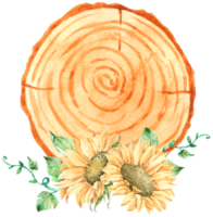 Signwood with sunflower watercolor png