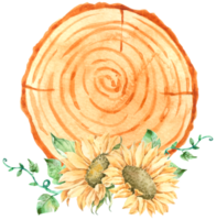 pancarte avec aquarelle de tournesol png