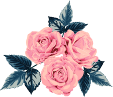 Botanical drawing with pink pastel rose flower.