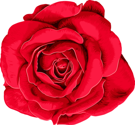 Fleur Rose Rouge En Pot PNG , Rose Rouge, Une Rose, Rose En Pot Image PNG  pour le téléchargement libre