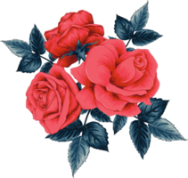 Red rose flowers drawing. png