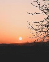 Bright sunset in spring, Germany. Windy nd sun. photo