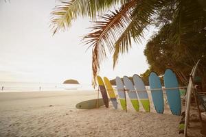 tablas de surf ajuste palma árbol en playa nubes cielo en verano fiesta soleado. foto