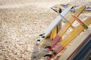 tablas de surf ajuste debajo Coco palmas playa playa relajarse divertido fiesta verano vacaciones. foto