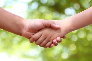 Girls and boys holding hands on the green background of the tree. The concept of working together for success photo