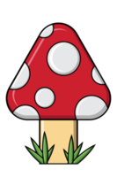 Colorful mushroom. Mushroom for adult and kids. Transparent background. Illustration png