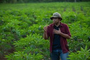 Young Asian farmer examines cassava leaves for plant disease photo