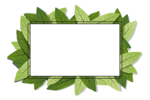 Geometric nature frame with leaves. Transparent background. Illustration png