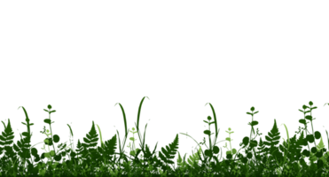 Bright green realistic seamless grass border isolated background. Transparent background. Illustration png