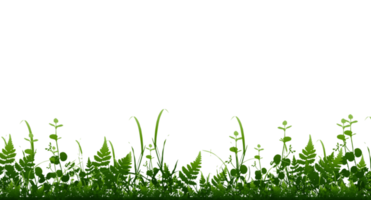 Bright green realistic seamless grass border isolated background. Transparent background. Illustration png