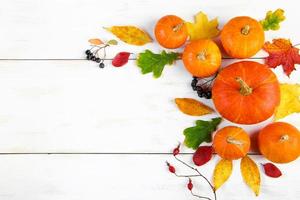 Autumn harvest. Ripe pumpkins, fallen leaves and berries on white wooden background. Thanksgiving and halloween concept. photo