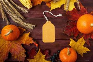 Blank label on wooden background. Autumn sale. Ripe pumpkins, fallen colored leaves and berries. Thanksgiving and harvest concept. Copy space.