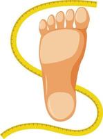 Foot symbol with tape measure vector