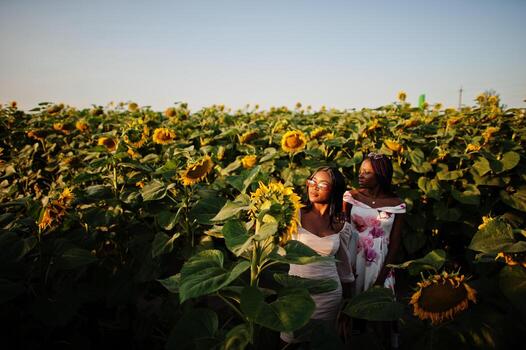 dos jóvenes amigas negras usan pose de vestido de verano en un campo de girasoles. foto
