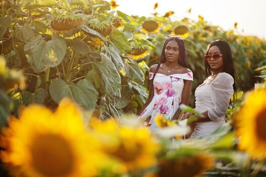 dos jóvenes amigas negras usan pose de vestido de verano en un campo de girasoles. foto
