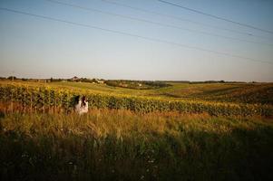 Two pretty young black friends woman wear summer dress pose in a sunflower field. photo