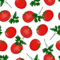 Tomatoes and parsley seamless pattern vector
