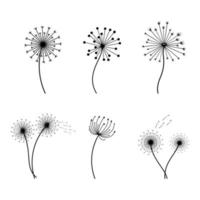 Collection of Dandelion Flower Illustrations On White Background vector