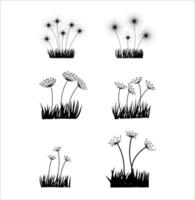 Collection of Dandelion with Grass Summer Illustrations vector