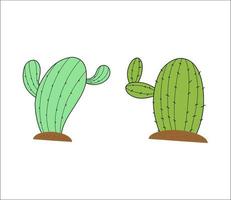 Two Cactus Nature Illustrations on White Background vector