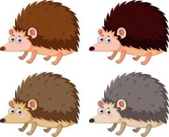 Different hedgehogs in cartoon style vector