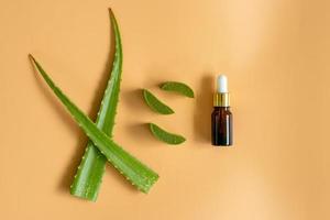 Top view of fresh aloe vera leaves. spa background concept. photo