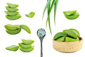 Set of Aloe Vera isolated on a white background photo