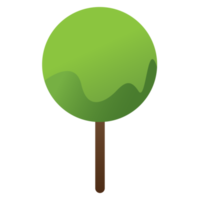 arbre ou usine, les bois plante et des arbres. png