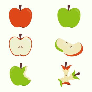 Various shapes of red and green apples. Hand drawn of a whole, a half, slices, bitten, and an apple core vector