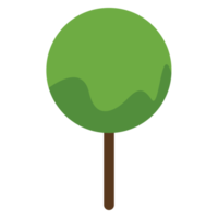 Tree or plant, woods plant and trees. png