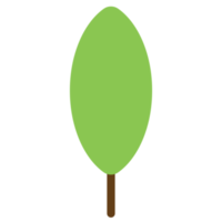 Tree or plant, woods plant and trees. png