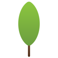 árbol o planta, bosque planta y arboles png