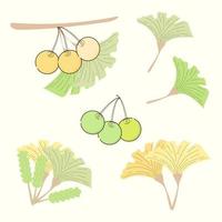 Minimalist vector illustration of hand drawn yellow and green leaves of Ginkgo biloba tree. Healthy ingredient that is used in medicine for disease treatment.