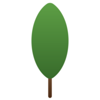 árbol o planta, bosque planta y arboles png