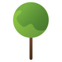 Tree or plant, woods plant and trees. png