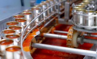 Canned fish factory. Food industry.  Sardines in red tomato sauce in tinned cans at food factory. Food processing production line. Food manufacturing industry. Many can of sardines on a conveyor belt. photo