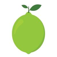 Green Lime Icon clipart vector animation illustration