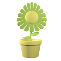 Green Plant in Pot 3D rendering isolated on white background. Ui UX icon design web and app trend png