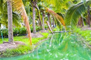 The blue water surface is surrounded by coconut groves in southern Thailand. photo