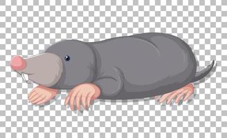 A mole cartoon on grid background vector