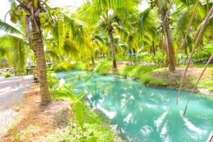 coconut farms and beautiful turquoise waters in southern Thailand. photo