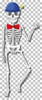 Human skeleton on grid background vector