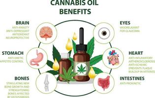 diagrama de beneficios de cbd para la salud física vector