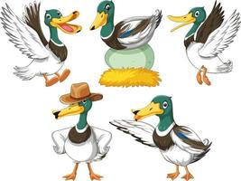 Set of duckling doing different activities vector