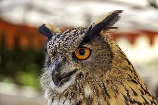 salvaje águila búho en naturaleza foto