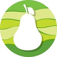 Pear fruit on green circle background vector