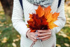 hojas de otoño en las manos foto