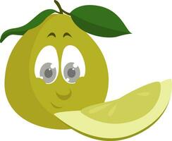 Green pomelo, illustration, vector on white background