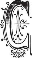 C, Ornate initial, vintage illustration vector