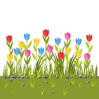 campo de flores con coloridos tulipanes. borde de hierba verde. escena de primavera vector